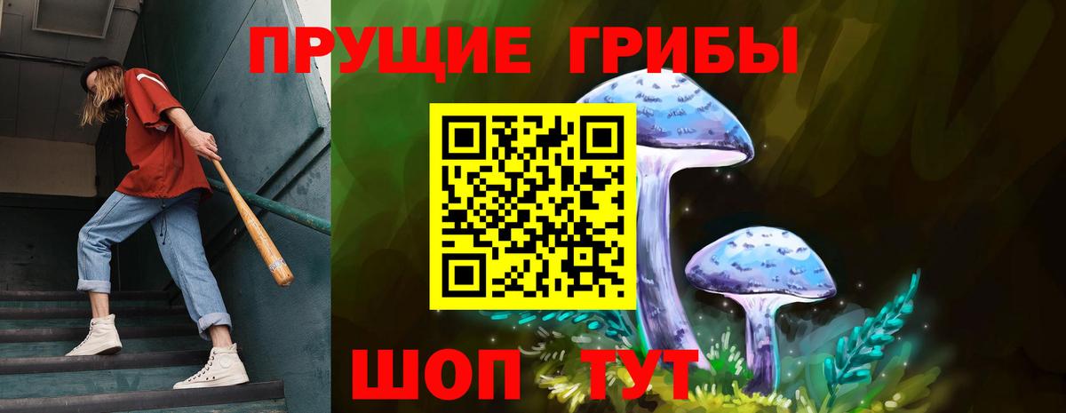 Химки  Галлюциногенные грибы Psilocybe  Вход с VPN 